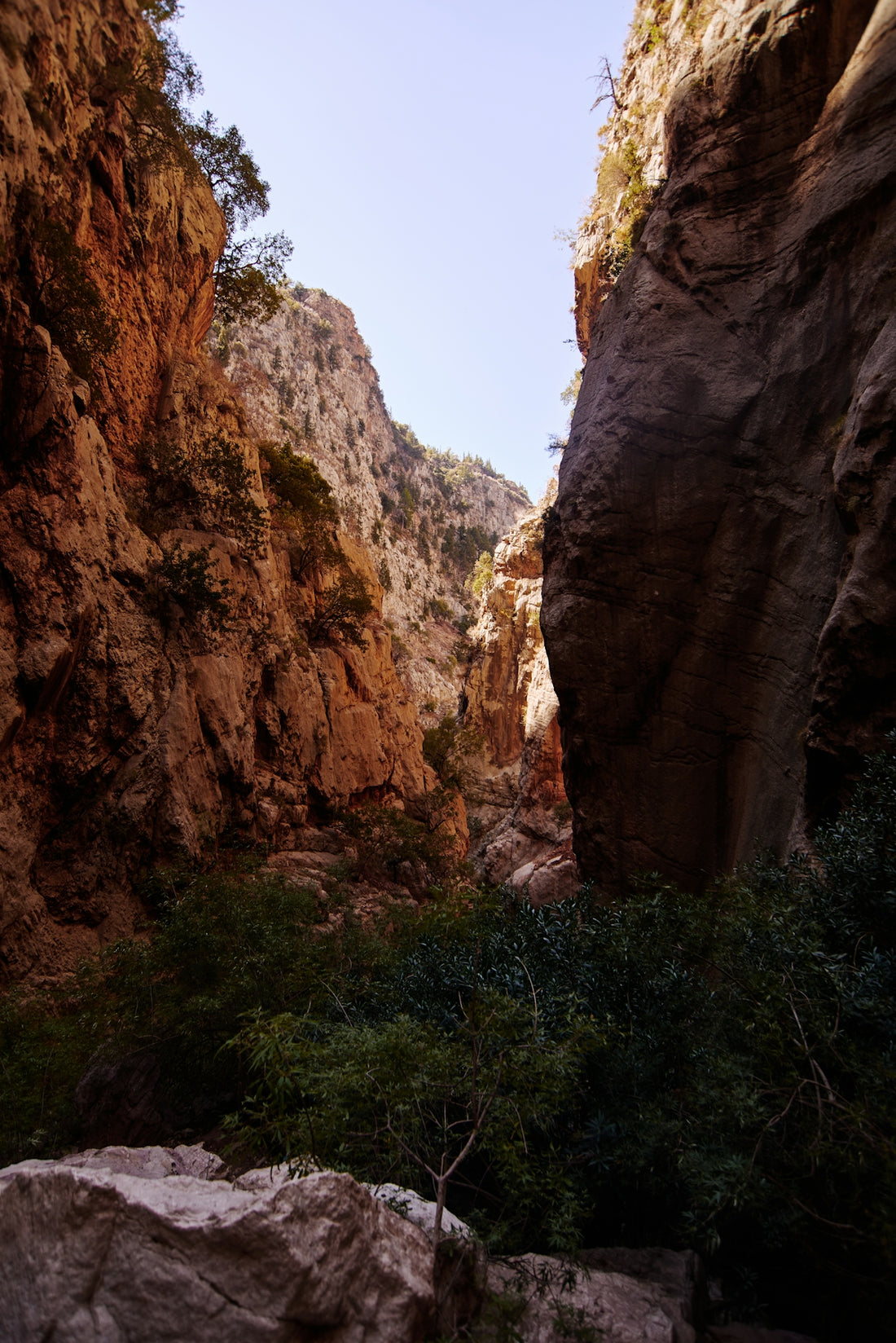 A deep canyon carved by the sun.